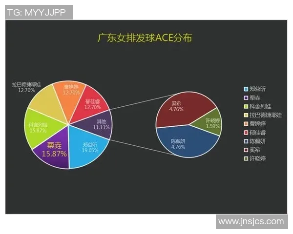 南京排球队技术对比深度解析与发展趋势展望