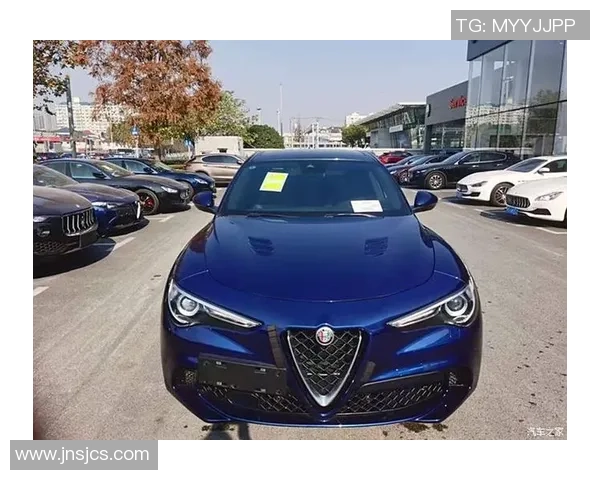 足球明星驾驭阿尔法罗密欧展现速度与激情的完美结合